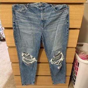 NWT American Eagle Outfitters mom jeans